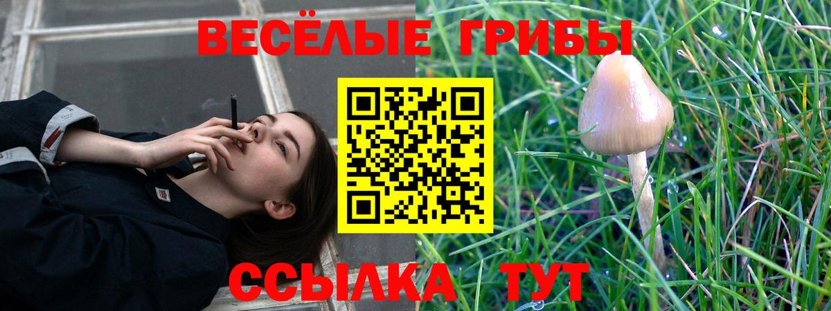 Старая Купавна  Псилоцибиновые грибы Psilocybine cubensis  где продают наркотики  Вход с VPN  Галлюциногенные грибы MAGIC MUSHROOMS 